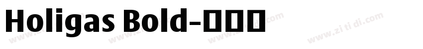 Holigas Bold字体转换